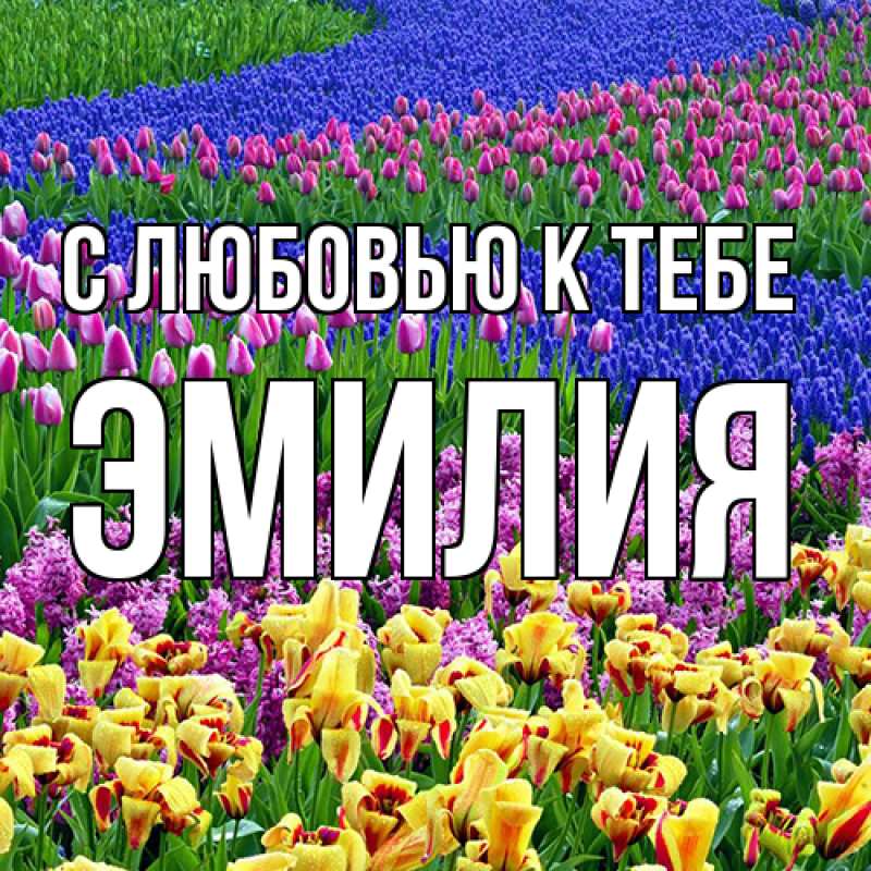 Картинка С любовью к тебе, Эмилия