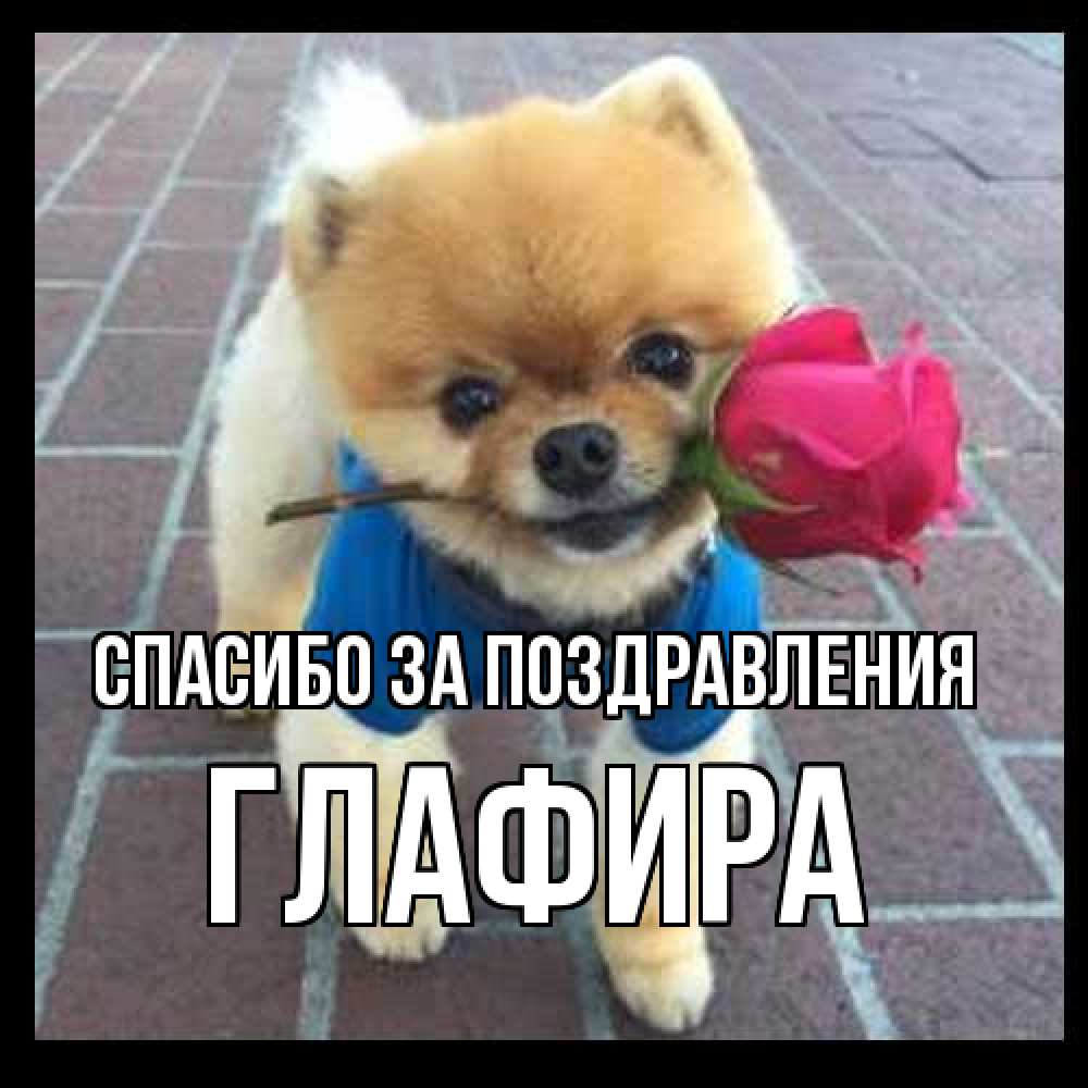 Открытка  с именем. Глафира, Спасибо за поздравления  