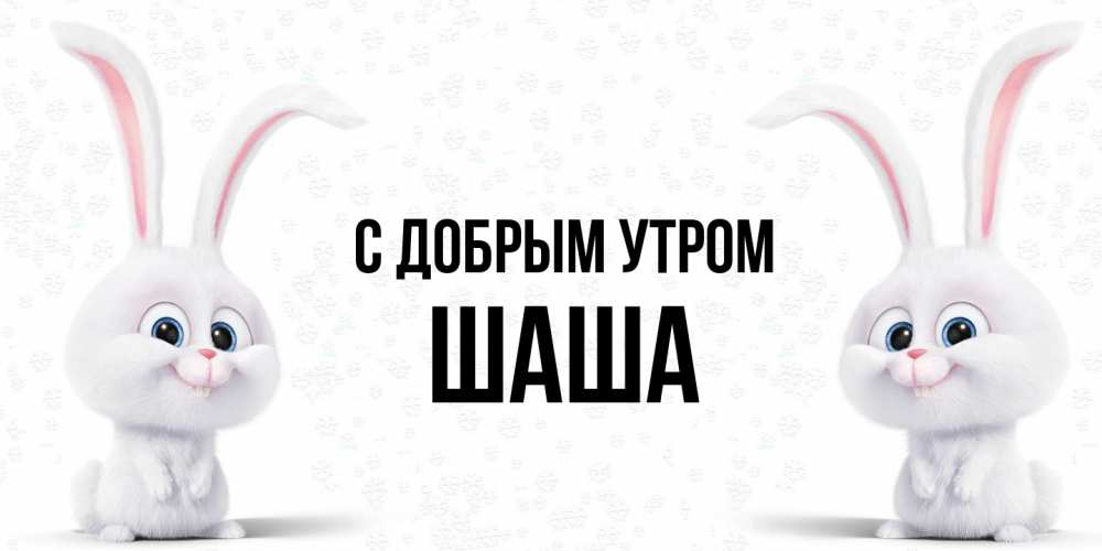 Открытка  с именем. Шаша, С добрым утром  
