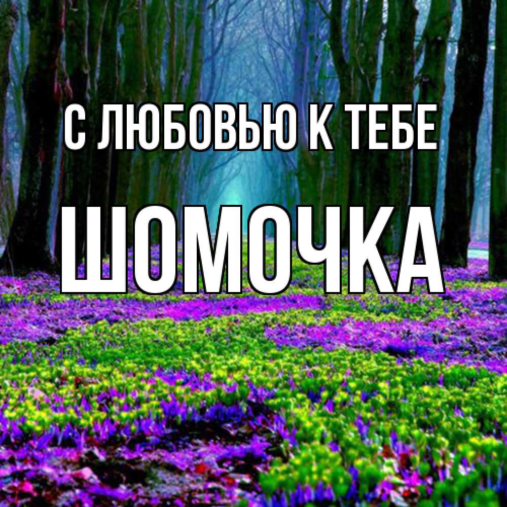 Открытка  с именем. Шомочка, С любовью к тебе  
