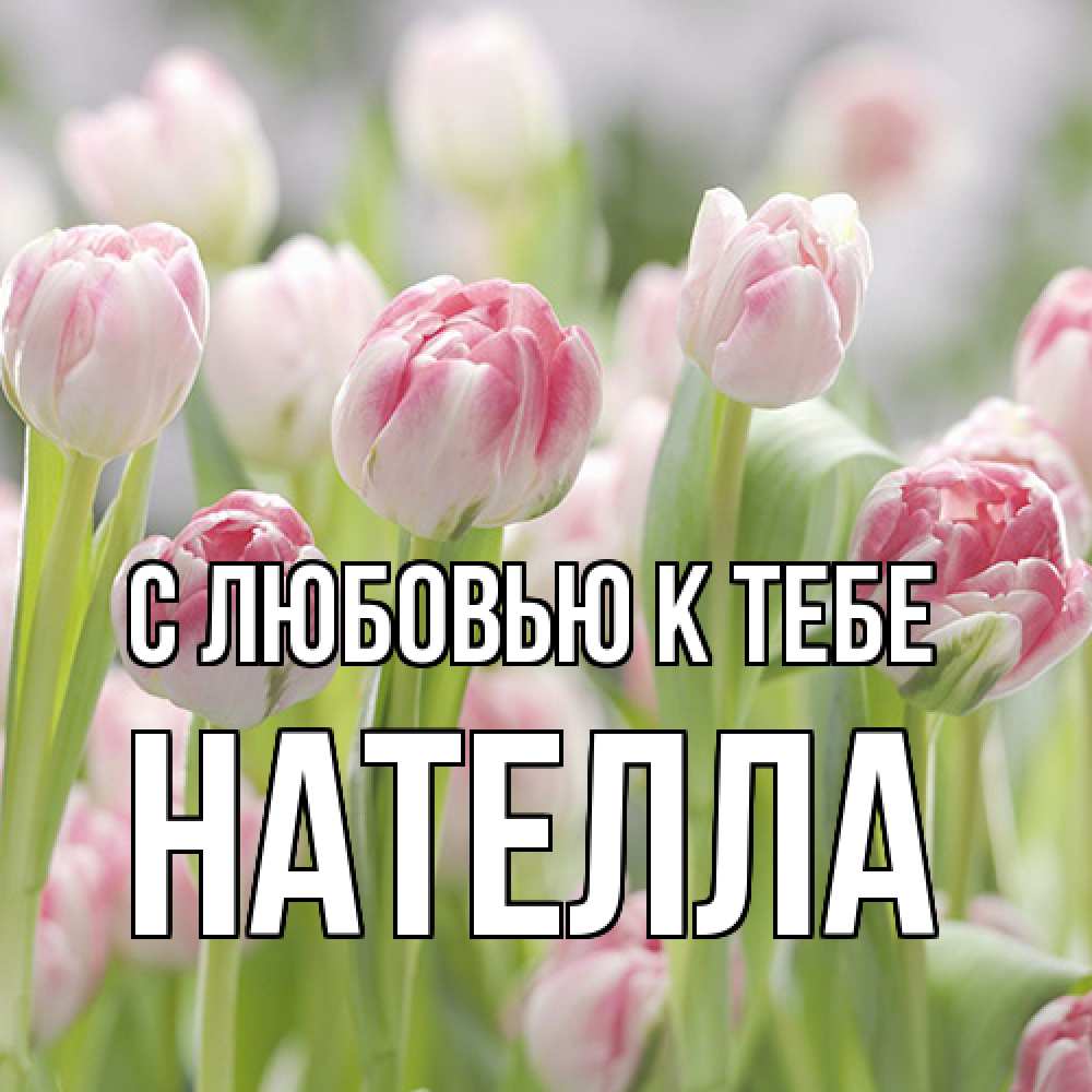 Открытка  с именем. Нателла, С любовью к тебе  