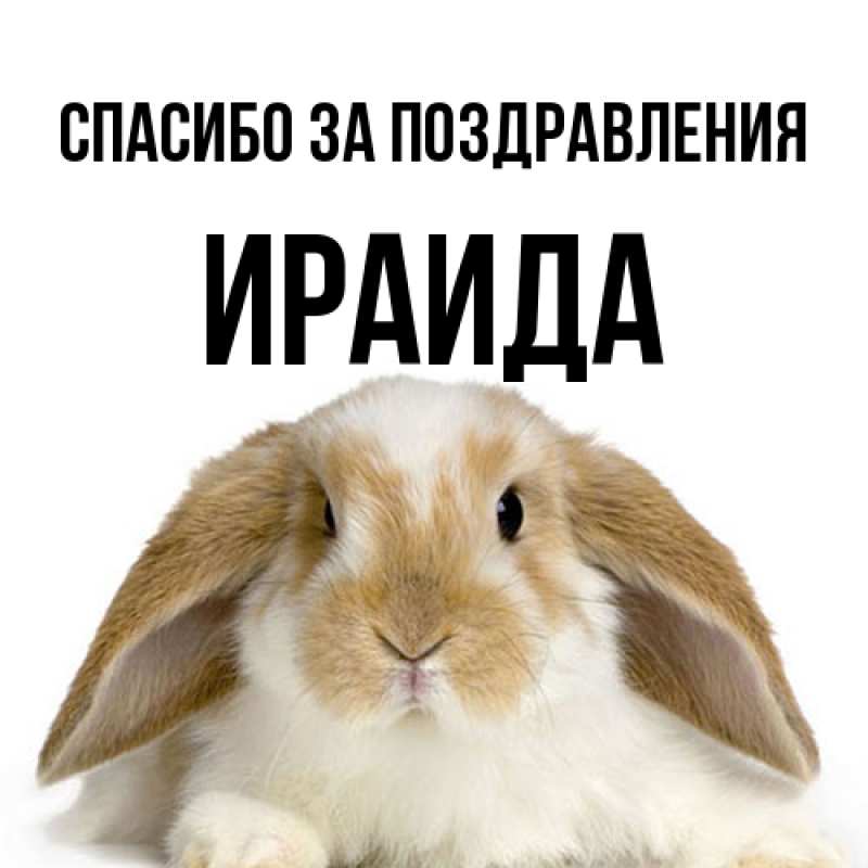 Открытка с именем, Ираида, Спасибо за поздравления