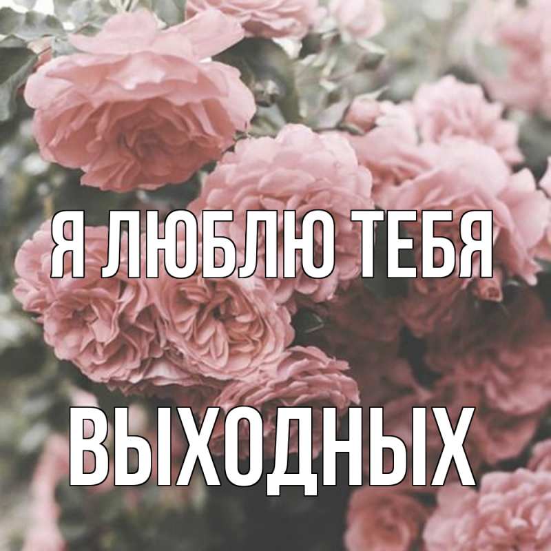 Картинка Я люблю тебя, выходных