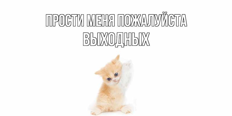 Картинка Прости меня пожалуйста, выходных