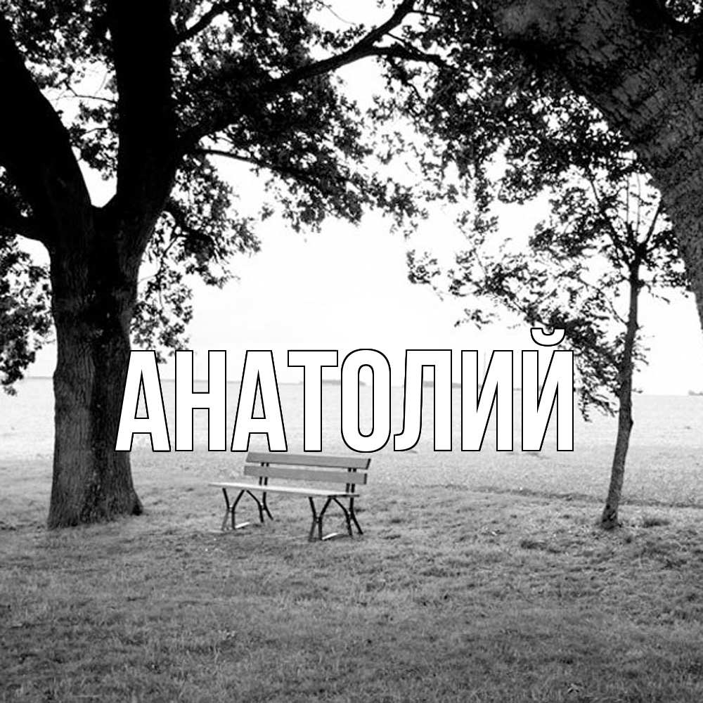 Открытка  с именем. Анатолий, Главная  