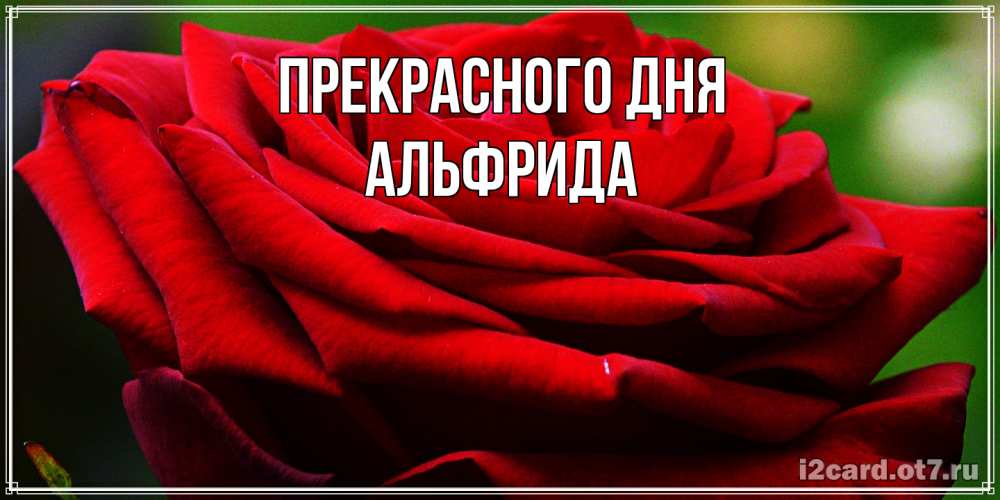 Открытка  с именем. Альфрида, Прекрасного дня  