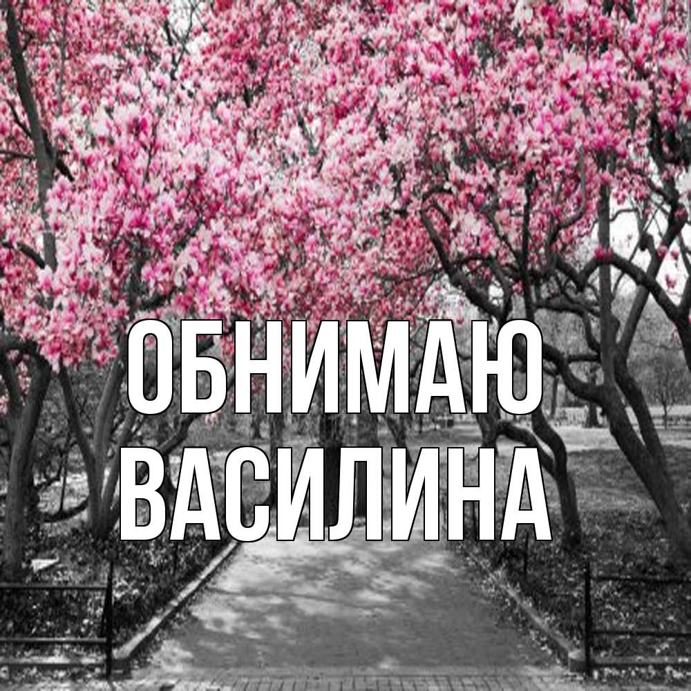 Открытка  с именем. Василина, Обнимаю  