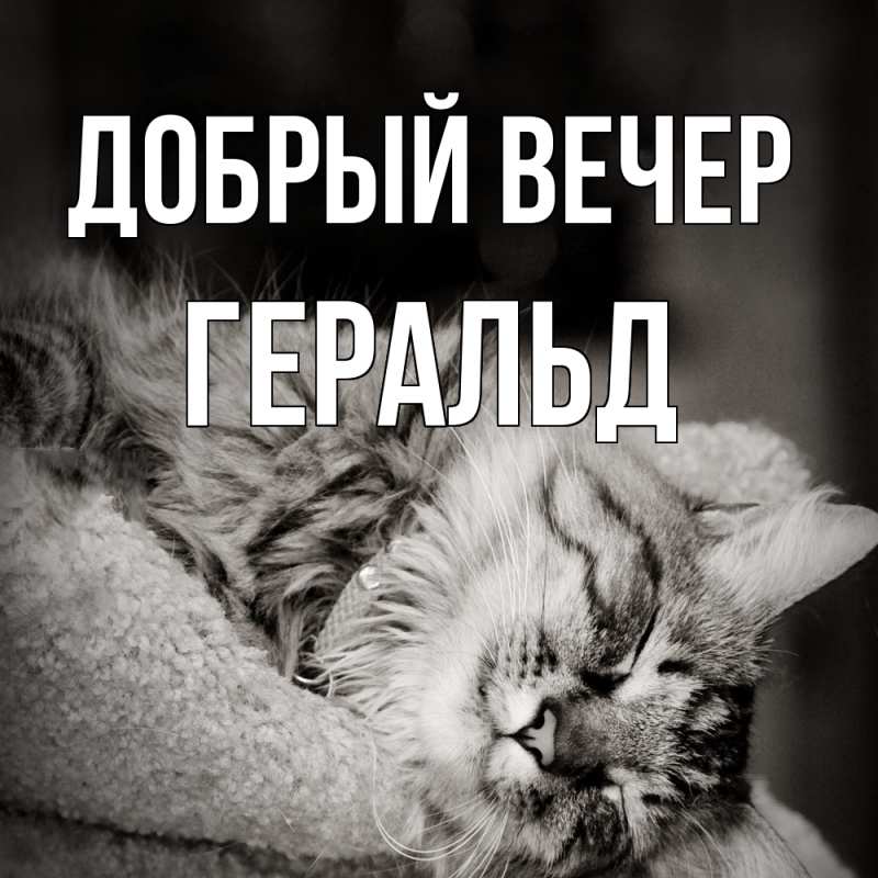 Картинка Добрый вечер, Геральд