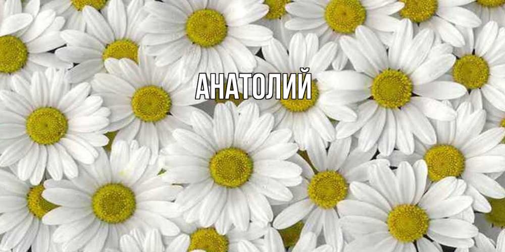 Открытка  с именем. Анатолий, Главная  