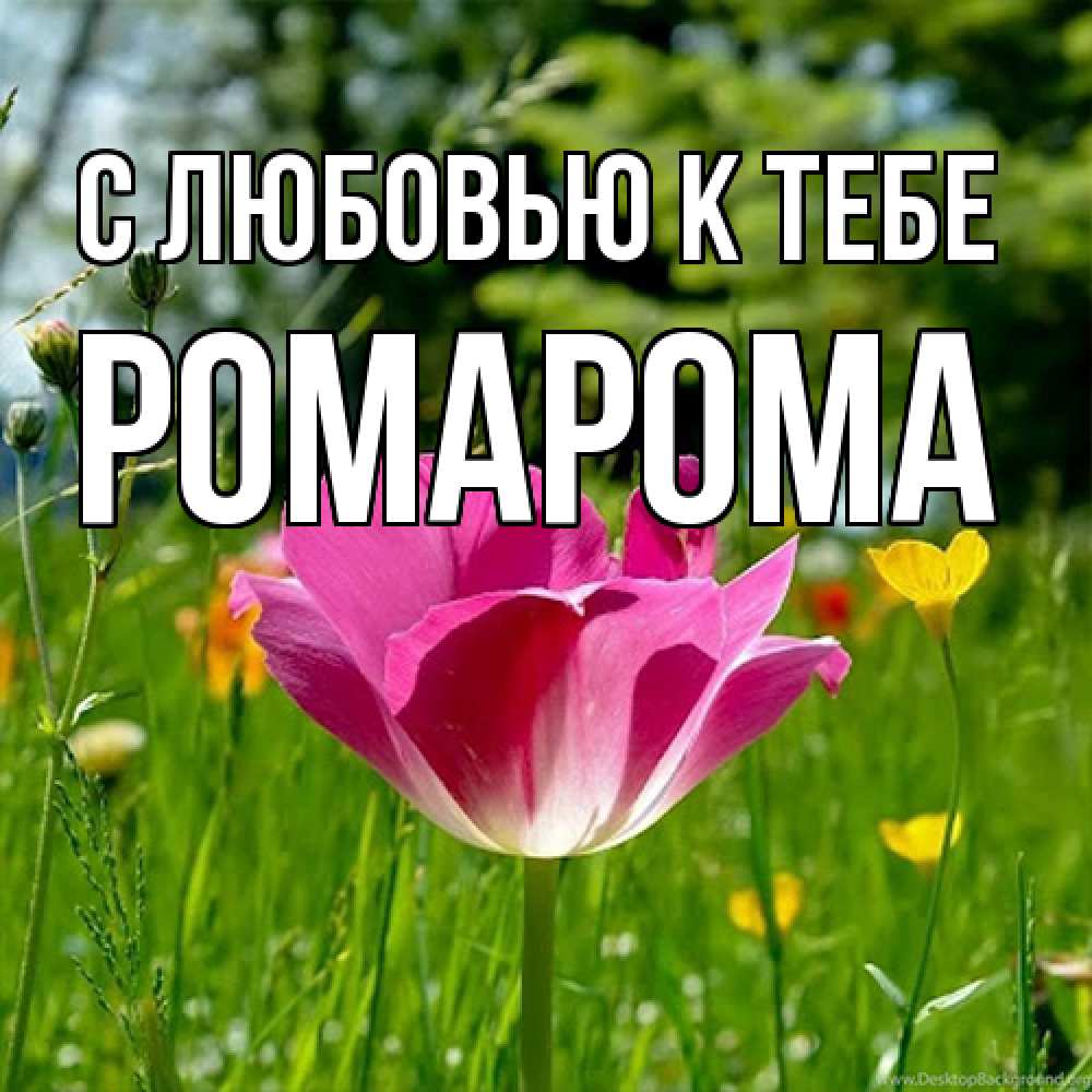 Открытка  с именем. РомаРома, С любовью к тебе  