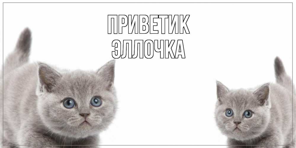 Открытка  с именем. Эллочка, приветик  