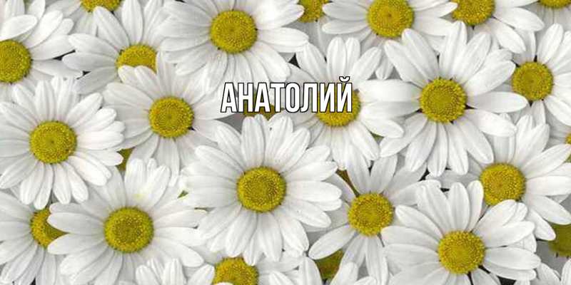 Картинка  с именем , Анатолий