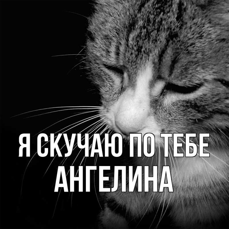 Картинка Я скучаю по тебе, Ангелина