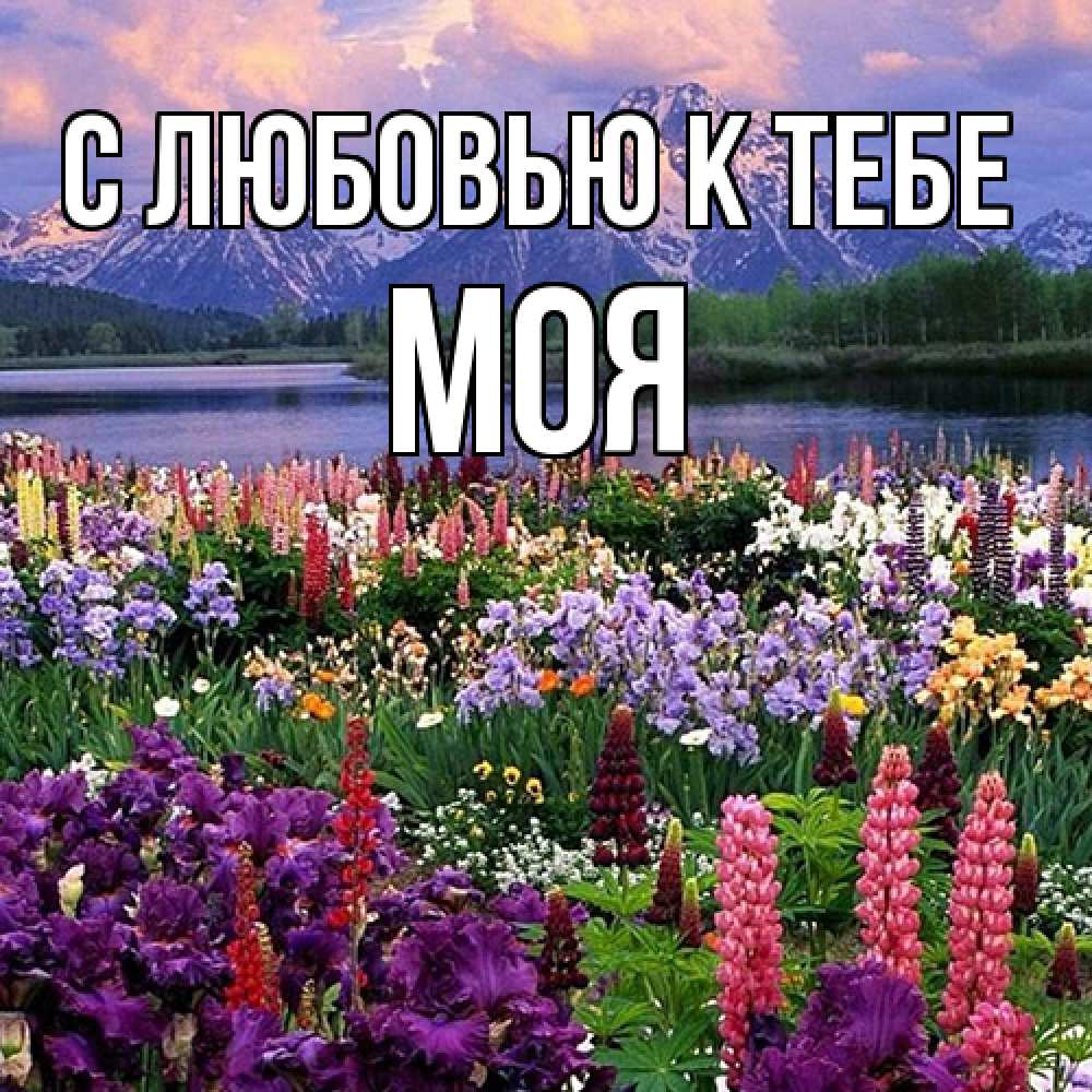 Открытка  с именем. Моя, С любовью к тебе  