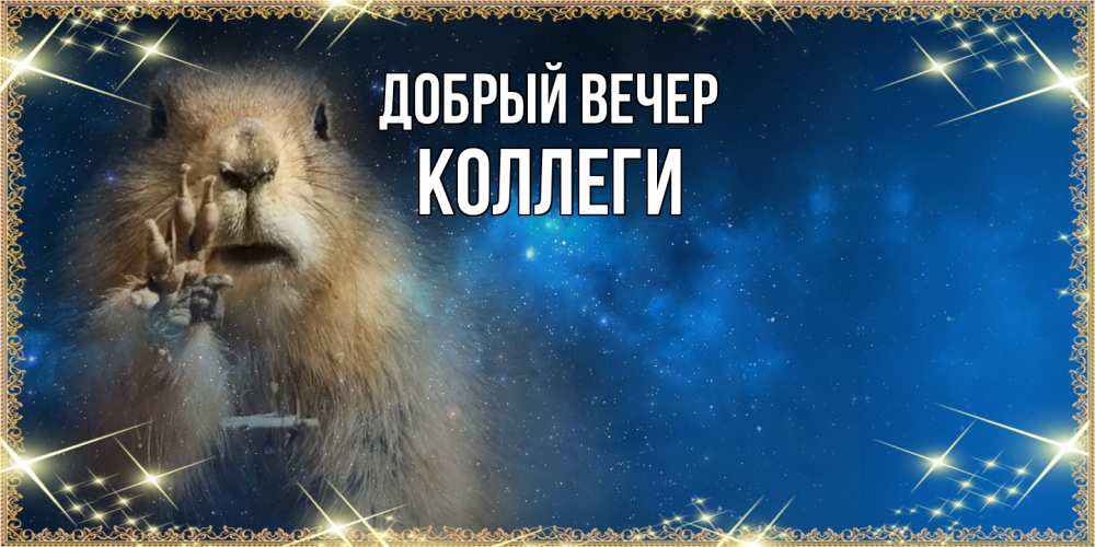 Открытка  с именем. коллеги, Добрый вечер  
