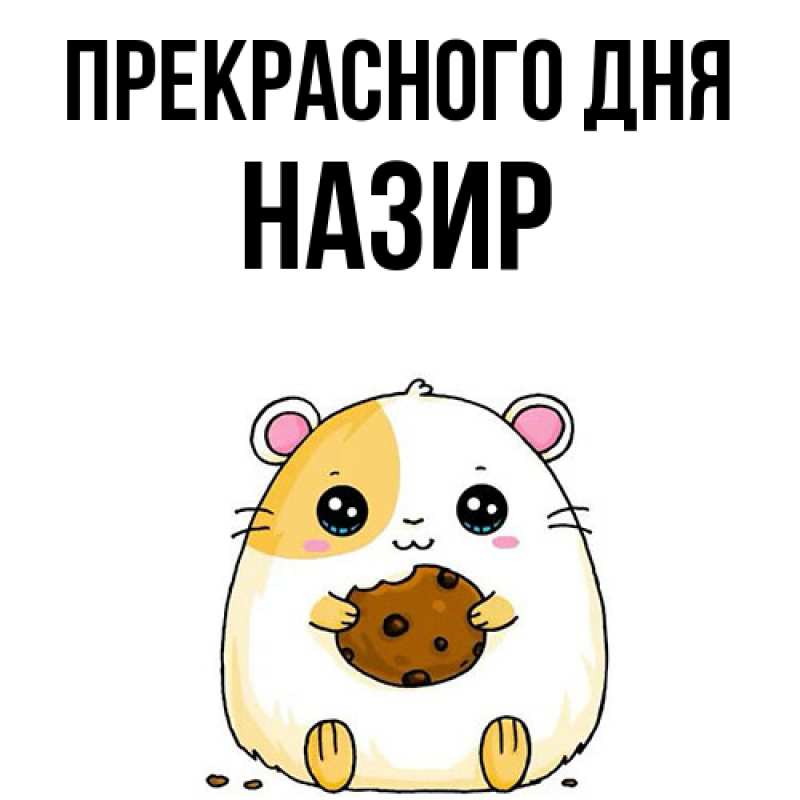 Картинка Прекрасного дня, Назир