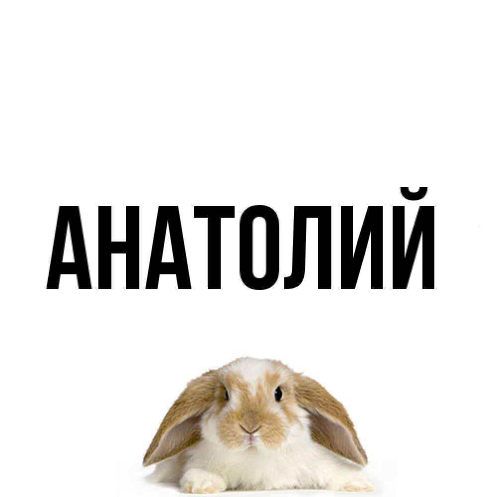 Открытка  с именем. Анатолий, Главная  