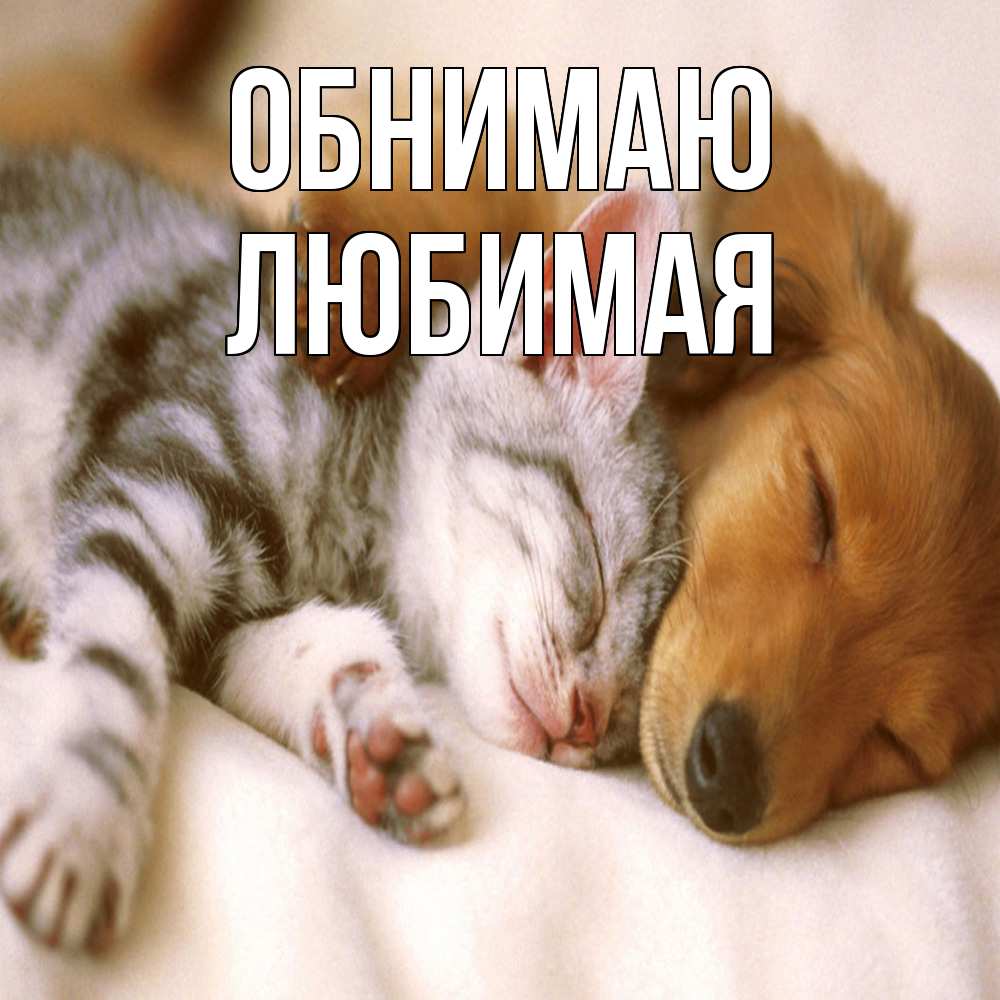 Открытка  с именем. Любимая, Обнимаю  
