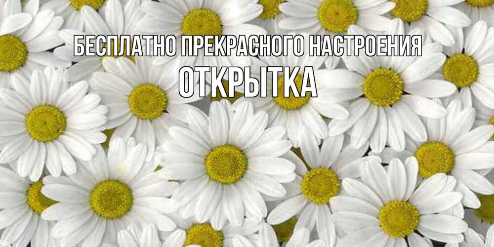 Открытка  с именем. открытка, Прекрасного настроения  