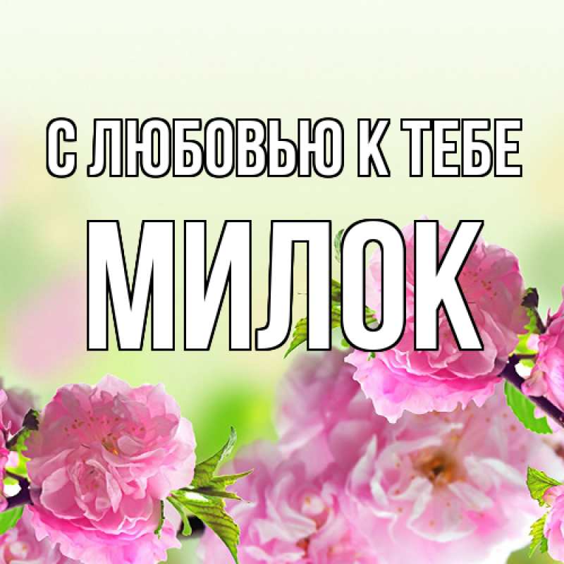 Картинка С любовью к тебе, Милок