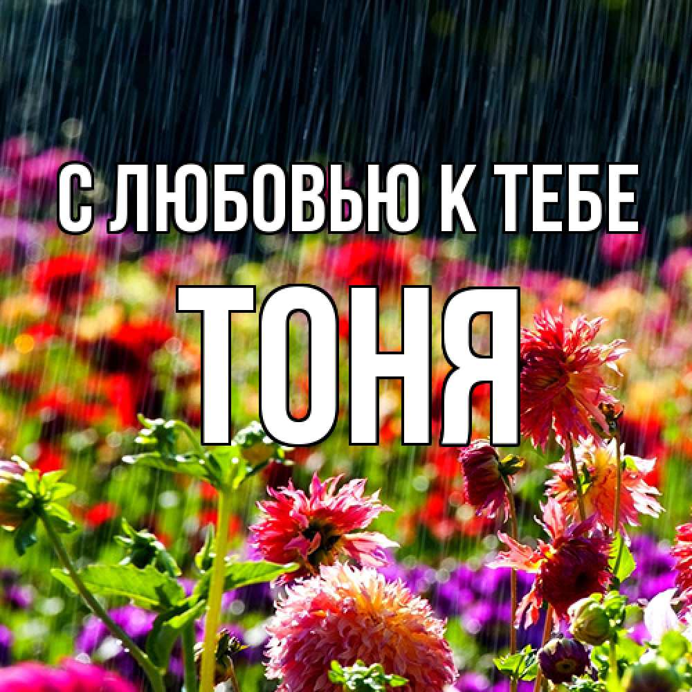 Открытка  с именем. Тоня, С любовью к тебе  