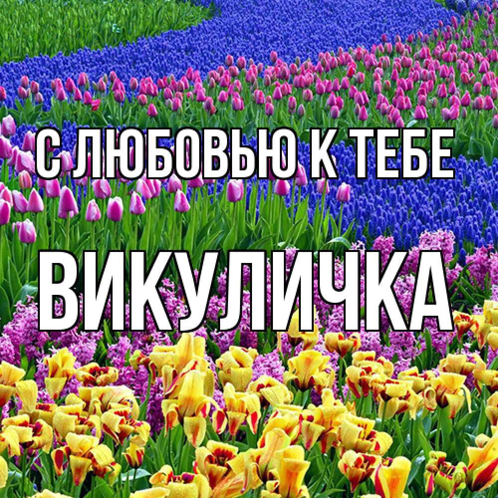 Открытка  с именем. Викуличка, С любовью к тебе  