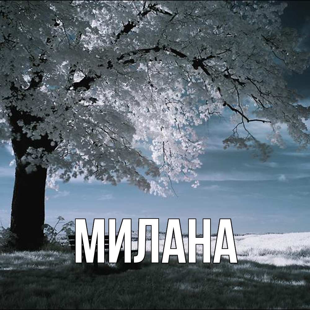 Открытка  с именем. Милана, Главная  