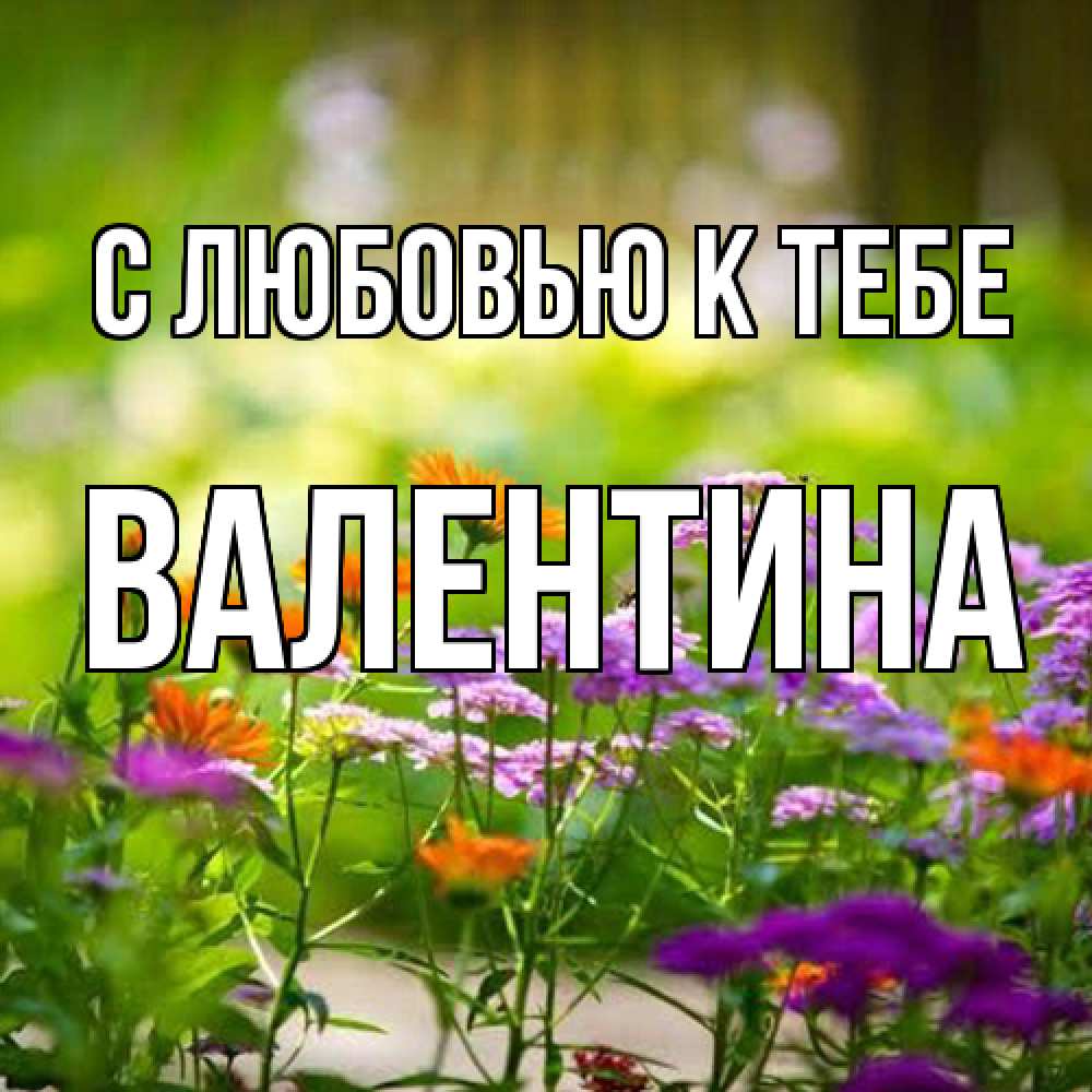 Открытка  с именем. валентина, С любовью к тебе  
