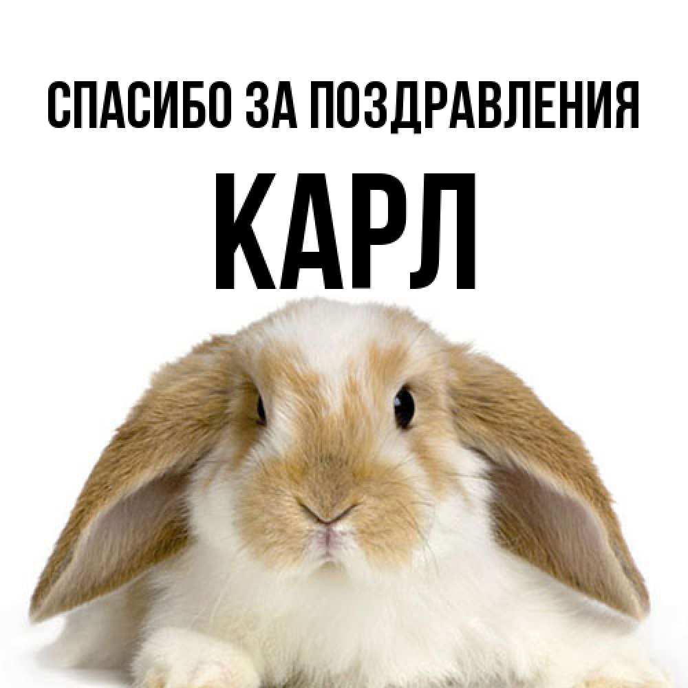 Открытка  с именем. Карл, Спасибо за поздравления  