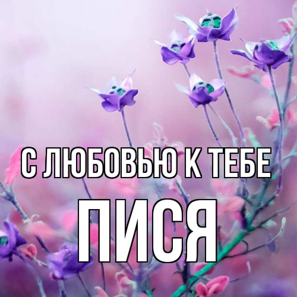 Открытка  с именем. пися, С любовью к тебе  