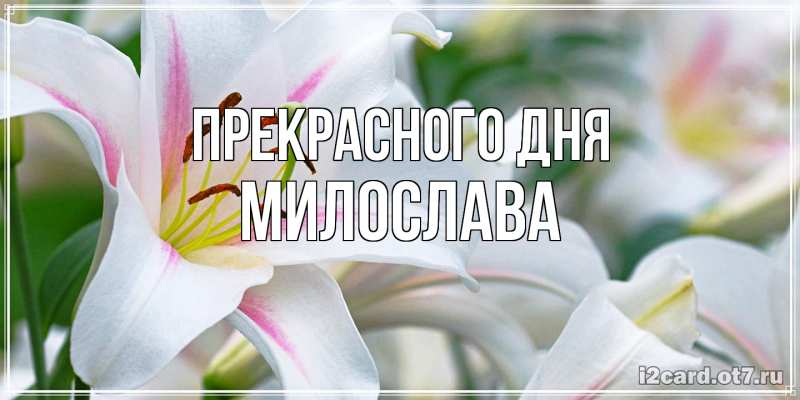 Открытка с именем, Милослава, Прекрасного дня