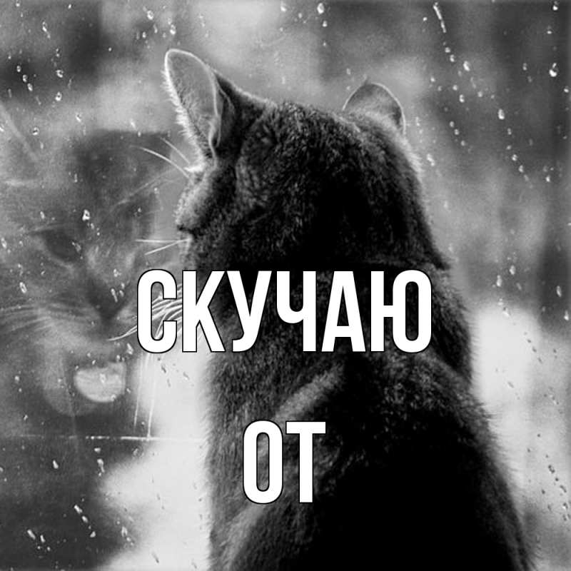 Картинка Скучаю, От