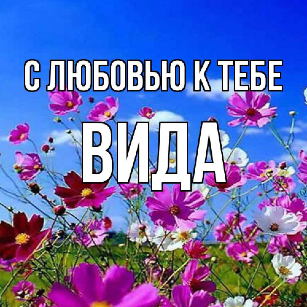 Открытка  с именем. Вида, С любовью к тебе  