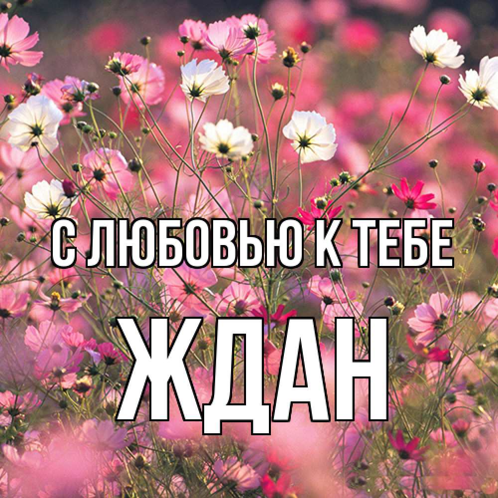 Открытка  с именем. Ждан, С любовью к тебе  
