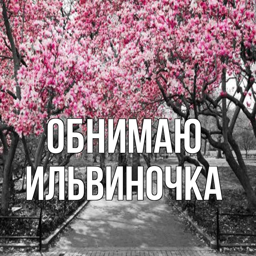 Открытка  с именем. Ильвиночка, Обнимаю  