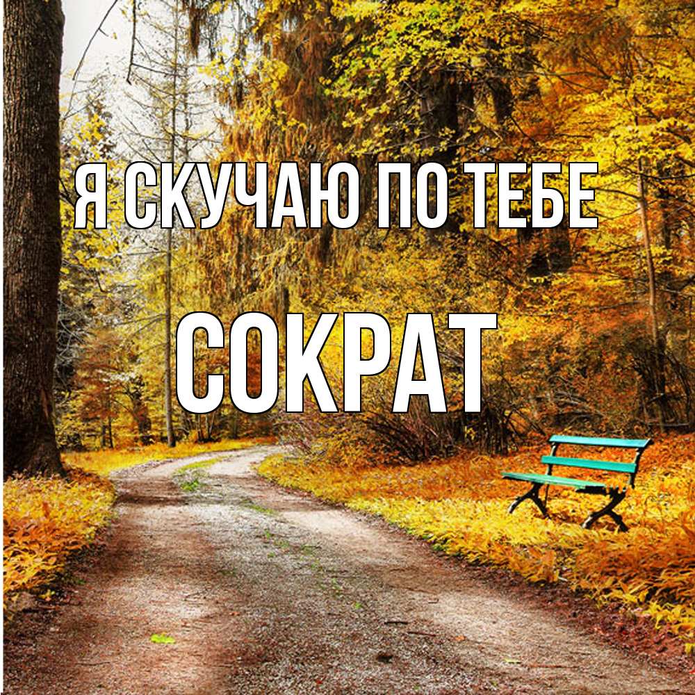 Открытка  с именем. Сократ, Я скучаю по тебе  