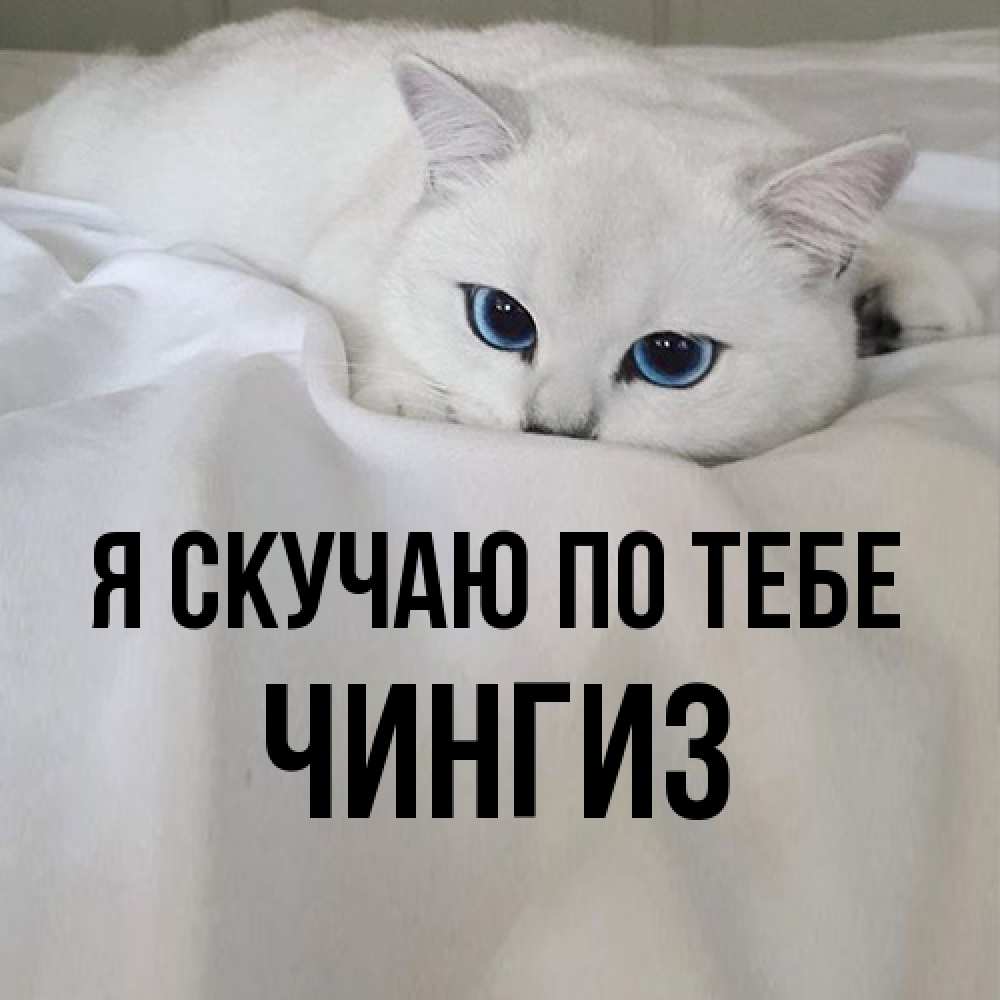 Открытка  с именем. Чингиз, Я скучаю по тебе  