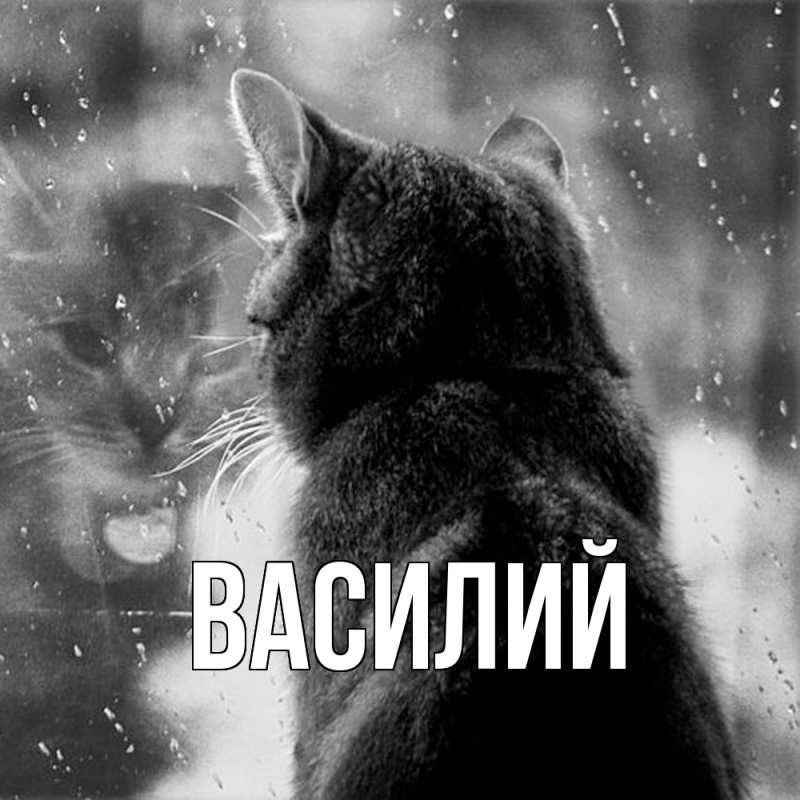 Картинка  с именем , Василий