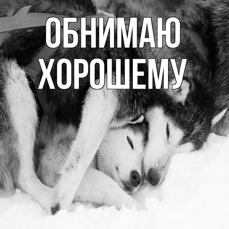 Картинка Обнимаю, Хорошему