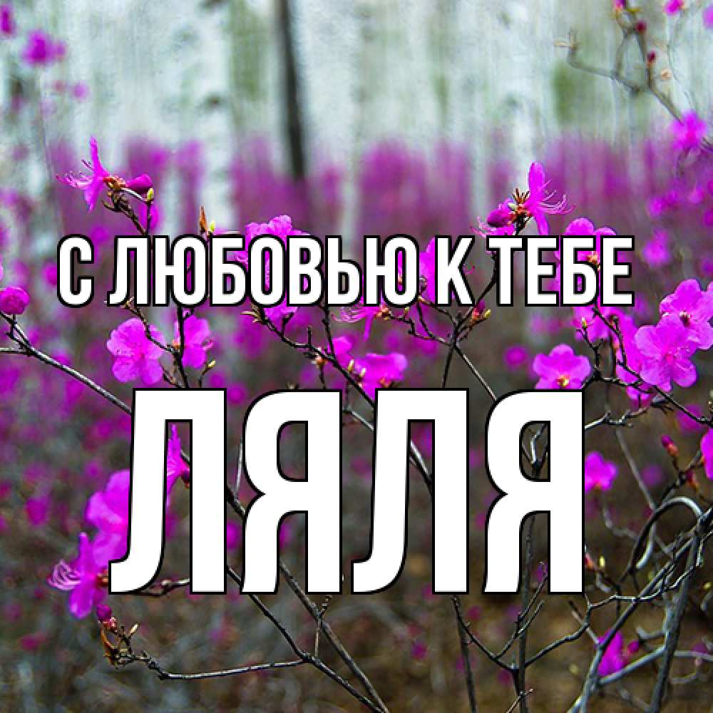 Открытка  с именем. Ляля, С любовью к тебе  