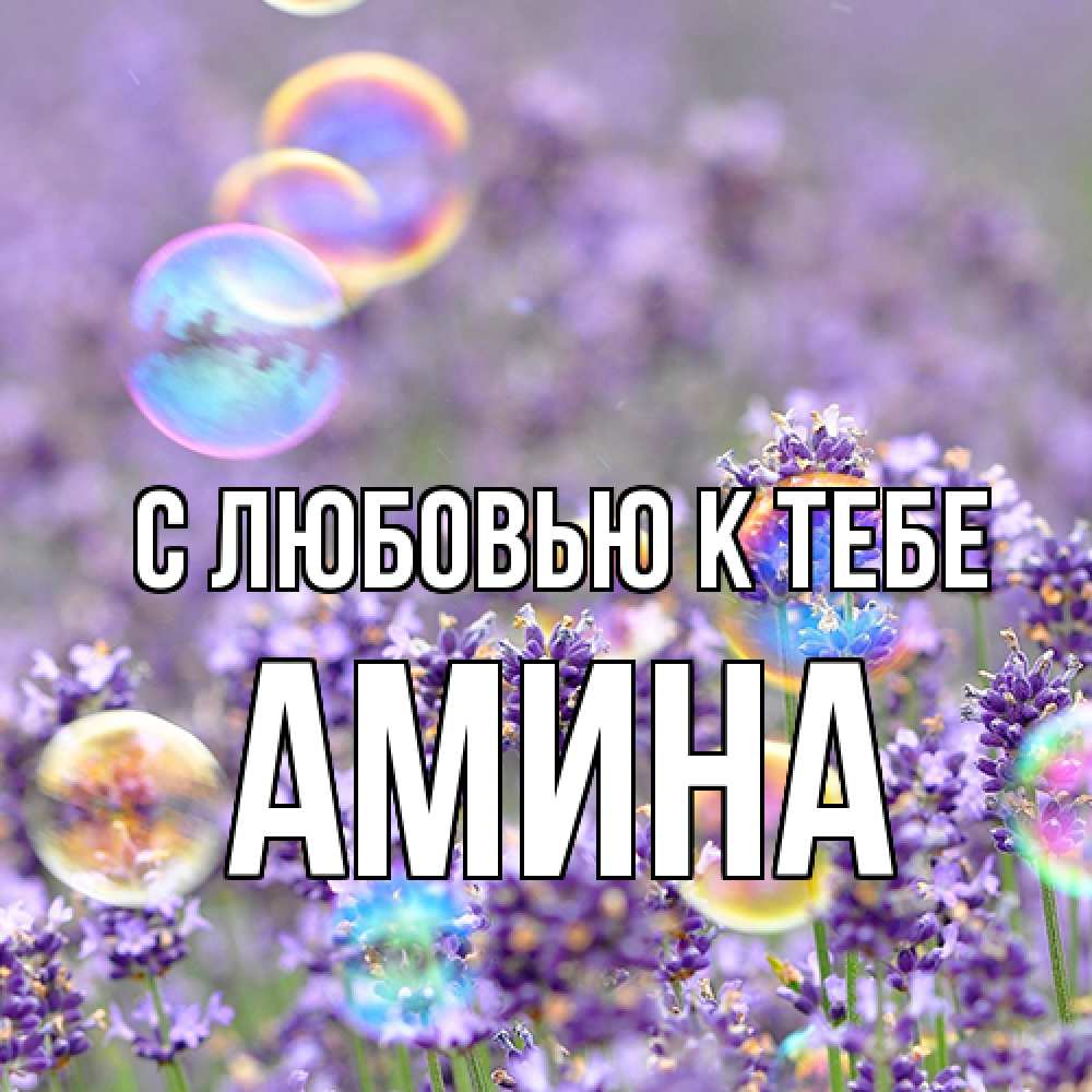 Открытка  с именем. Амина, С любовью к тебе  