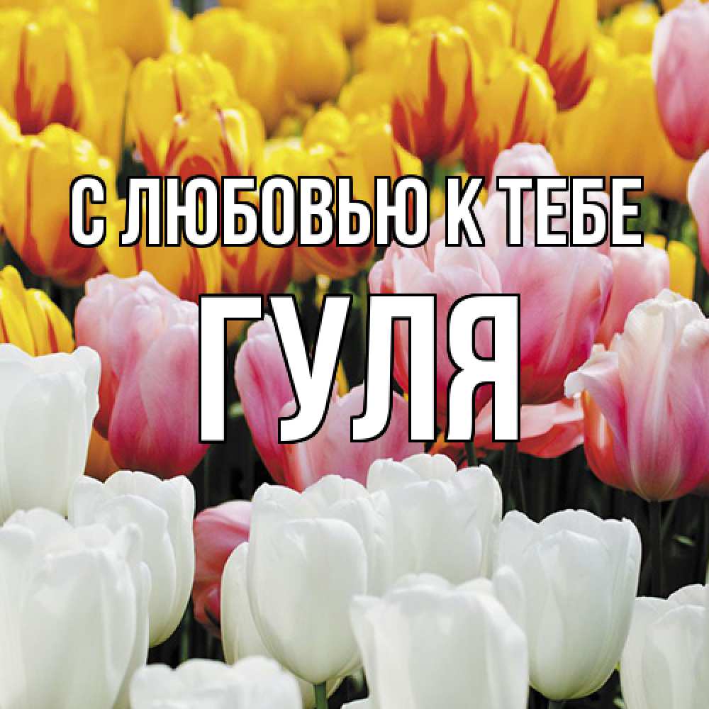 Открытка  с именем. Гуля, С любовью к тебе  