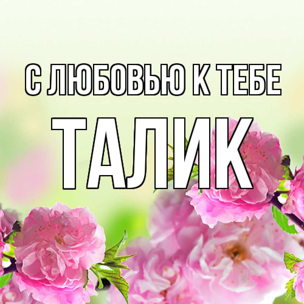 Открытка  с именем. Талик, С любовью к тебе  