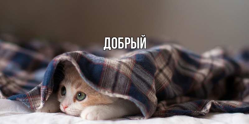 Картинка  с именем , Добрый
