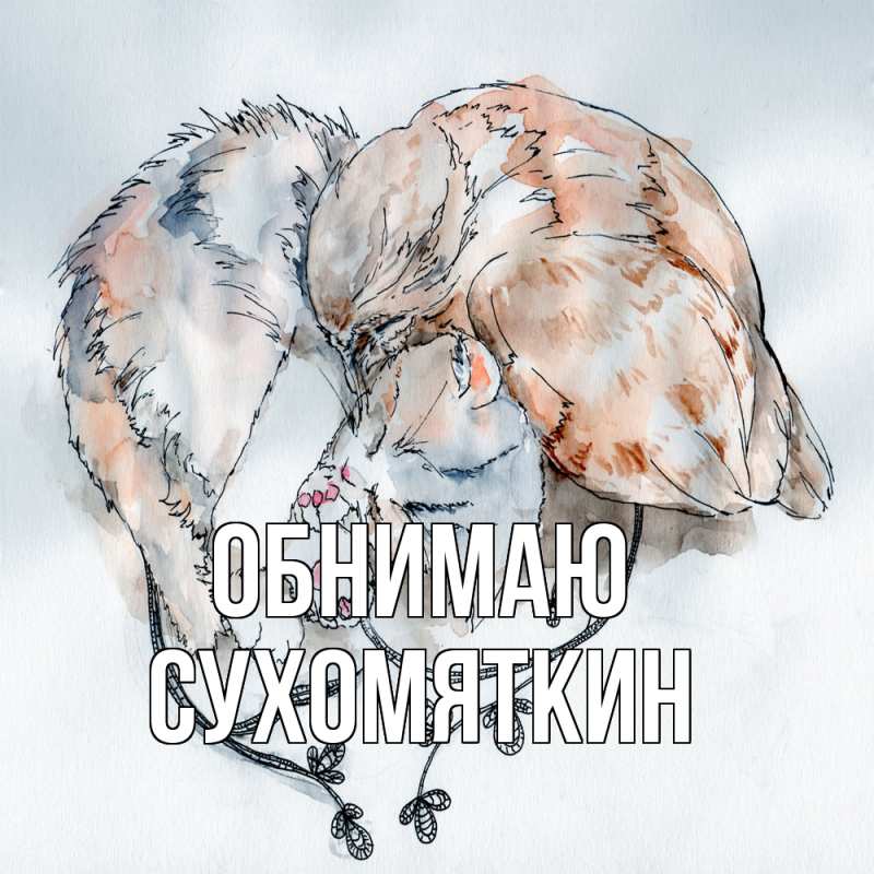 Картинка Обнимаю, Сухомяткин