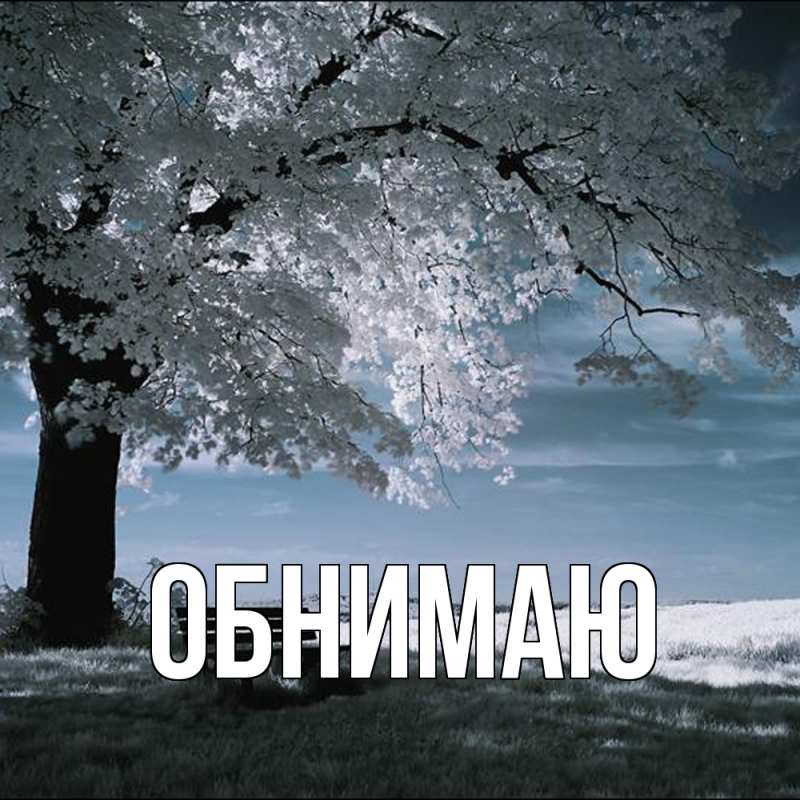 Картинка Обнимаю, 