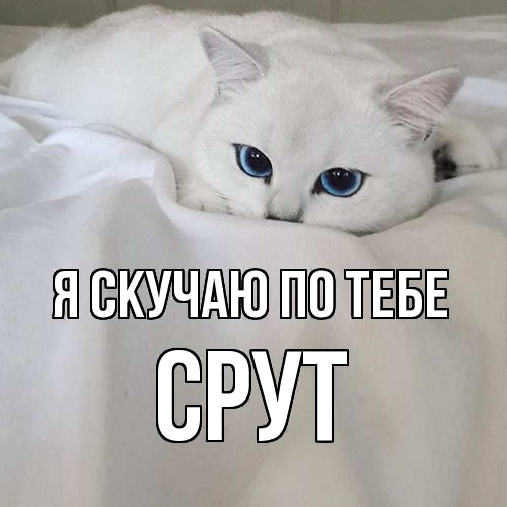 Открытка  с именем. срут, Я скучаю по тебе  