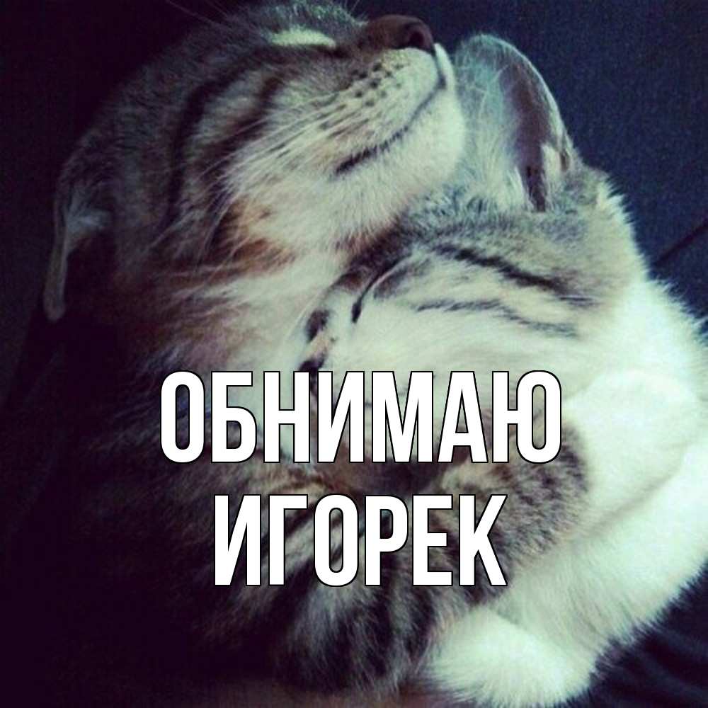 Открытка  с именем. Игорек, Обнимаю  