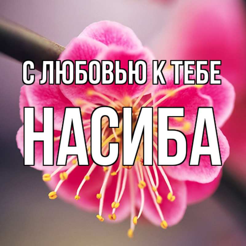 Открытка с именем, Насиба, С любовью к тебе
