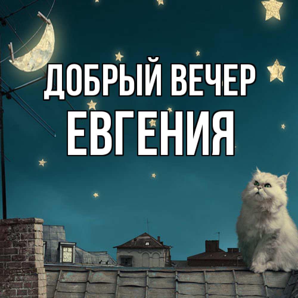 Открытка  с именем. Евгения, Добрый вечер  